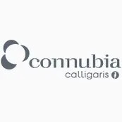 Logo Connubia Calligaris
